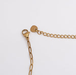 Seashell Link Charm Anklet - Gold - Ektaraa