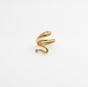 Serpant Glow – 18K PVD Coated | Éktaraa - Ektaraa